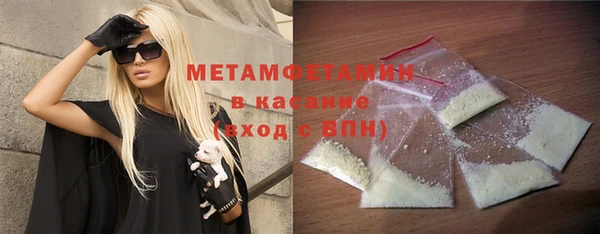 прущие грибы Верхний Тагил