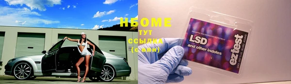 прущие грибы Верхний Тагил