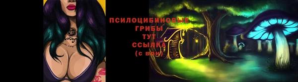 бошки Верхнеуральск