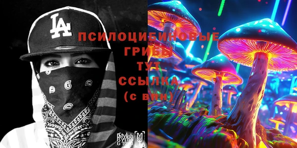 прущие грибы Верхний Тагил