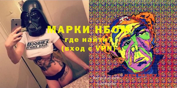 прущие грибы Верхний Тагил