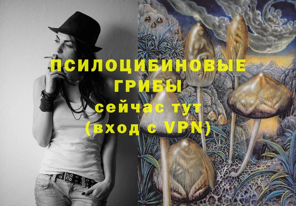 прущие грибы Верхний Тагил