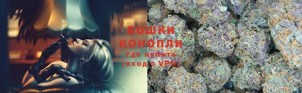 прущие грибы Верхний Тагил