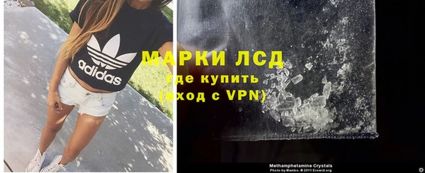 сатива Бронницы